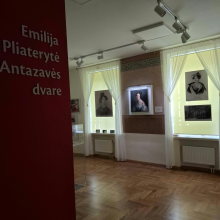 Emilijos Pliaterytės portretas